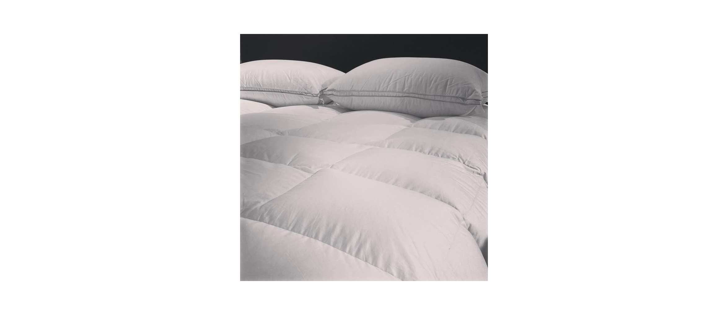 Couette Collection GRAND HÔTEL Naturel 90% Duvet Canard Neuf de France